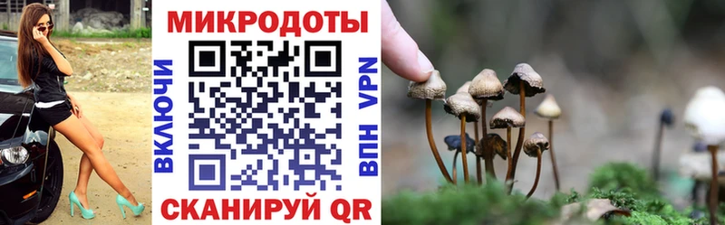 Купить  Ува  Псилоцибиновые грибы мухоморы 